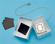 interceptjewelrycare.com